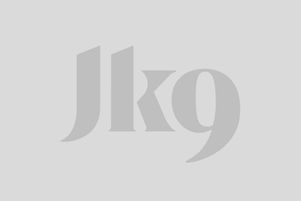 Julius-K9 Logo
