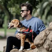 Julius-K9 IDC®Powair Sommer-Powergeschirr für Hunde