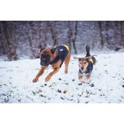 Manteau pour chien IDC® Julius-K9 en néoprène