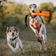 Multifunctional JK9 Multidummy Boudin with 1 or 2 handles