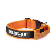 Julius-K9 Color&Gray® intervention collar with handle
