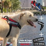 Harnais rafraichissant en Y Julius-K9 Y-Powair + logos au nom du chien OFFERTS !